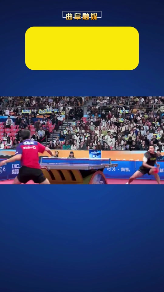 韩国乒乓球队绝杀日本乒乓球队，许昕高光表现的简单介绍